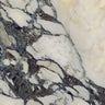 Calacatta Viola Marble Sample
