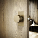 Grosvenor Plate Aged Bronze Hammered Mortice Door Knobs