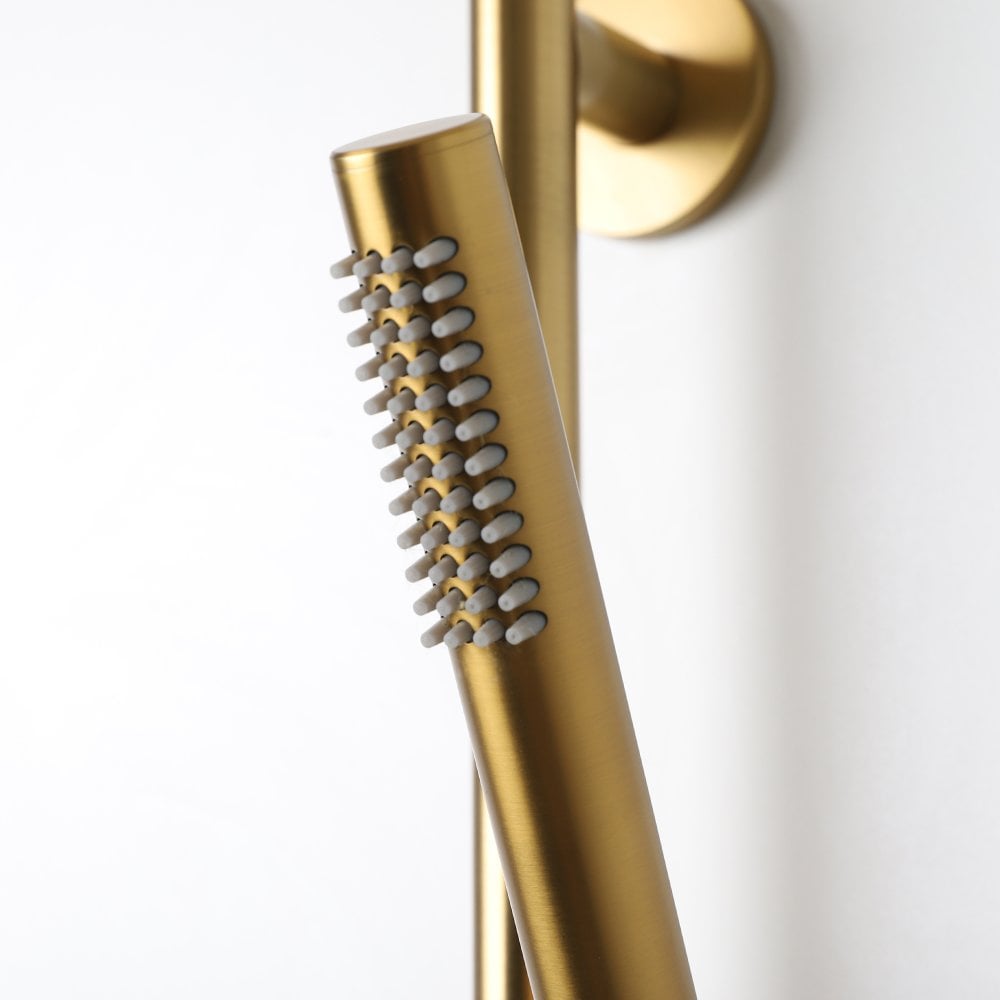 Luxe Shower Riser Rail Kit Brushed Gold - No Valve