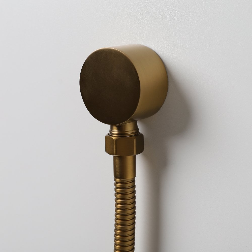 Luxe Shower Riser Rail Kit Brushed Gold - No Valve
