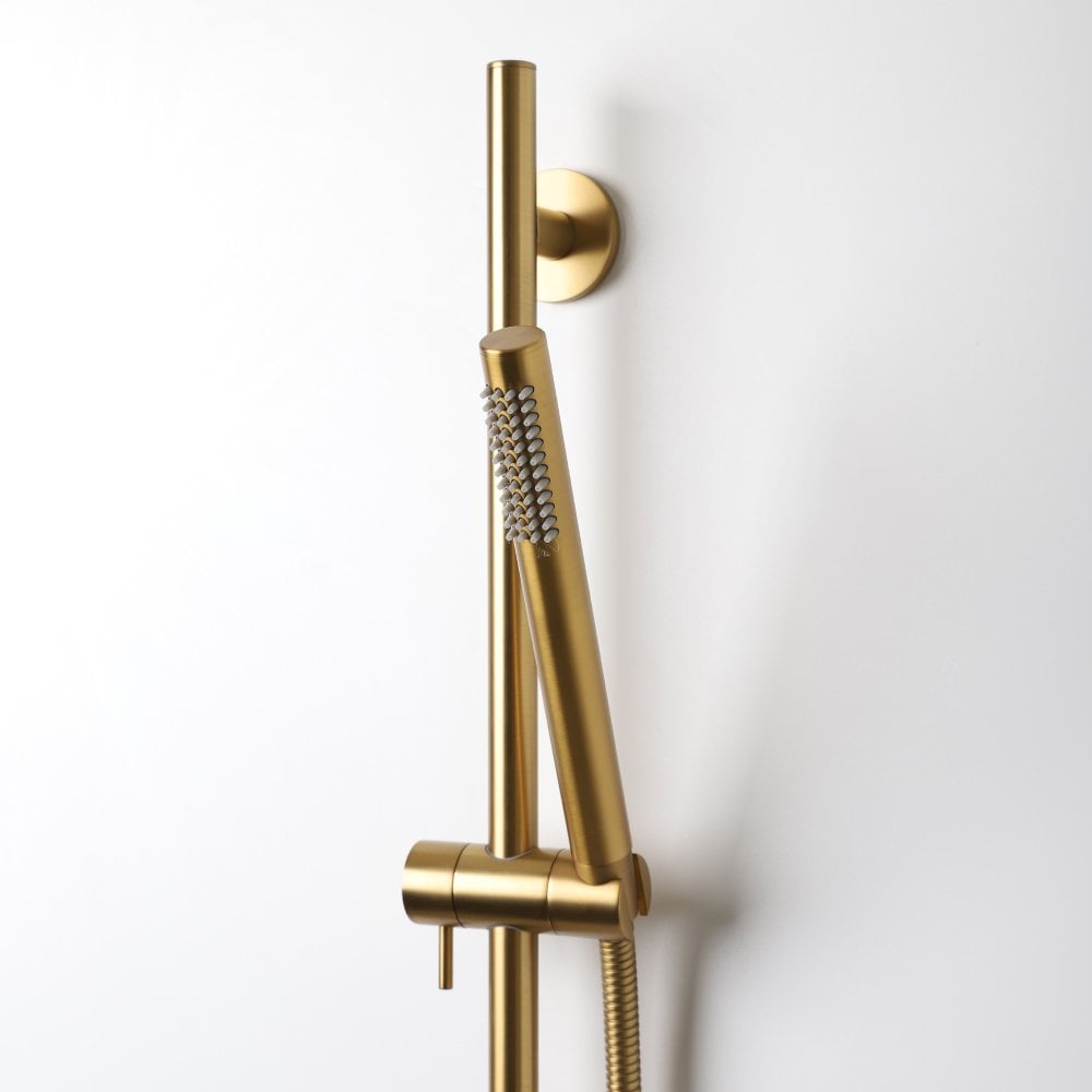Luxe Shower Riser Rail Kit Brushed Gold - No Valve
