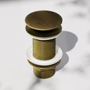 Luxe Aged Bronze Unslotted Click Clack Basin Waste