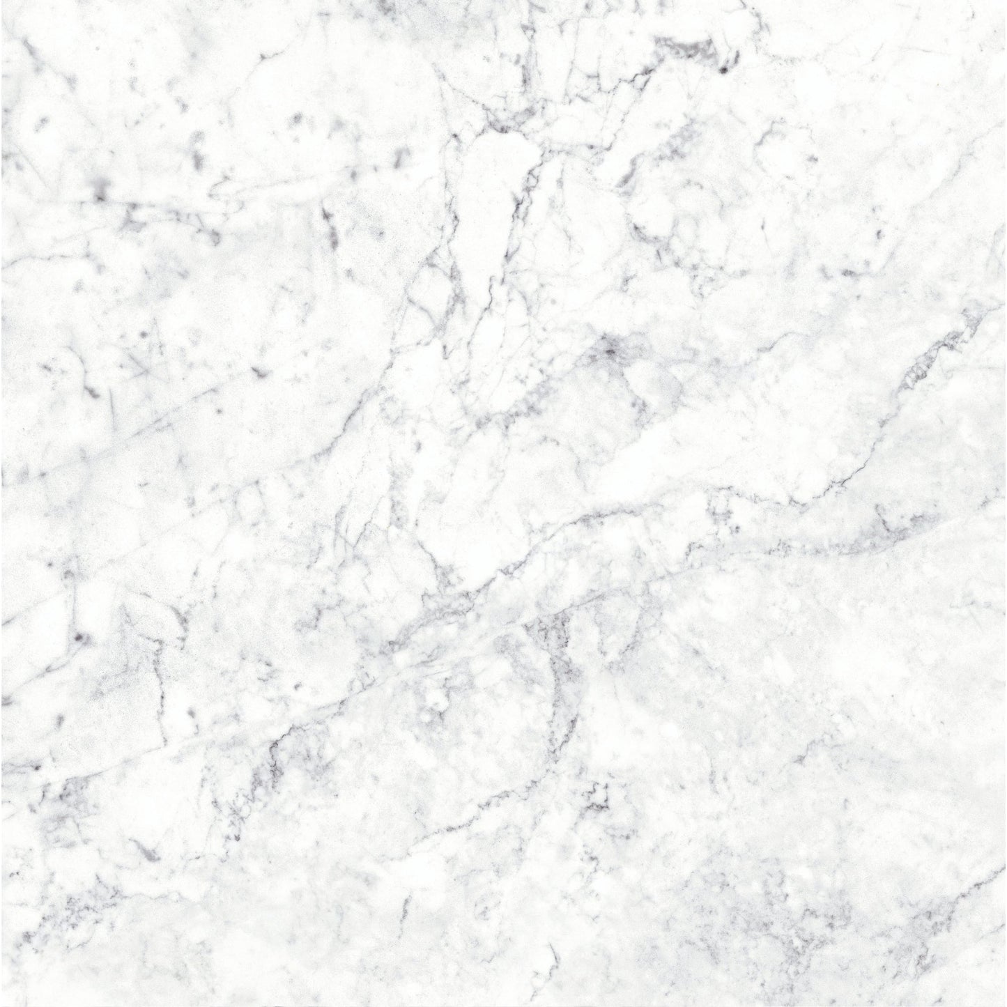 Massa Bianco Carrara Marble Porcelain Wall or Floor Tile 600 x 600mm