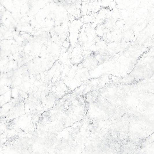 Massa Bianco Carrara Marble Porcelain Wall or Floor Tile 600 x 600mm