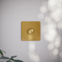 SlimTech Collection Brushed Gold 1 Gang 2 Way Dimmer Switch