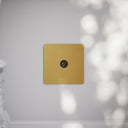 SlimTech Collection Brushed Gold TV Aerial Socket