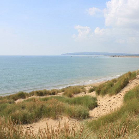 Camber Beach House
