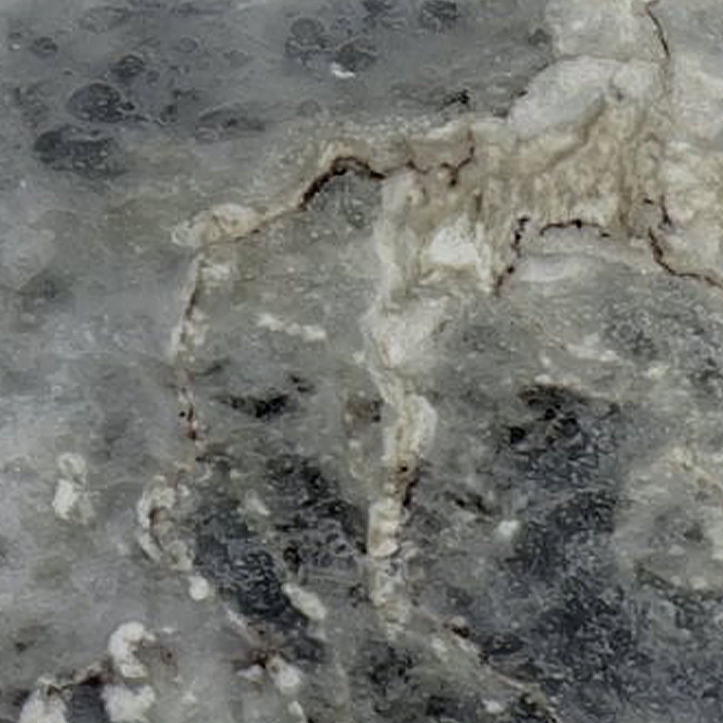 Amazon Blue Marble Sample