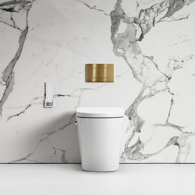 Intellismart Back To Wall Rimless Bidet Toilet with Concealed Cistern and Brushed Gold Flush Plate