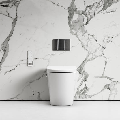 Intellismart Back To Wall Rimless Bidet Toilet with Concealed Cistern and Gunmetal Flush Plate