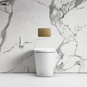 Intellismart Back To Wall Rimless Bidet Toilet With Concealed Cistern And Round Flush Plate
