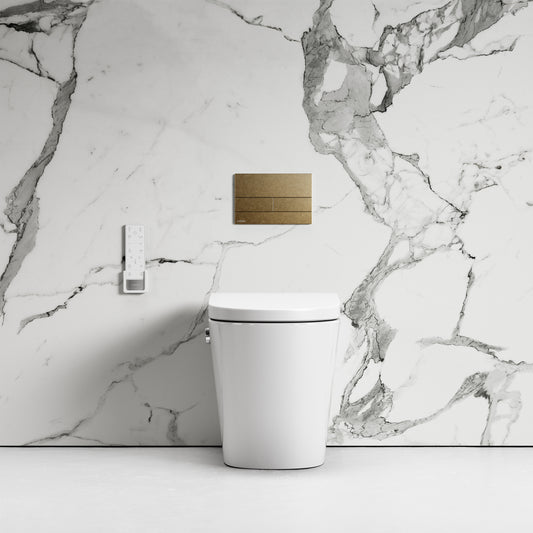 Intellismart Back To Wall Rimless Bidet Toilet with Concealed Cistern and Square Flush Plate