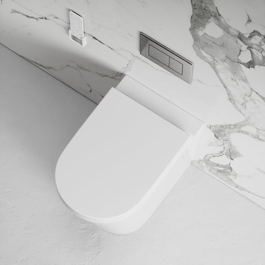 Intellismart Back To Wall Rimless Bidet Toilet with Concealed Cistern and Brushed Stainless Flush Plate