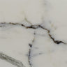 Calacatta Gold Marble Sample