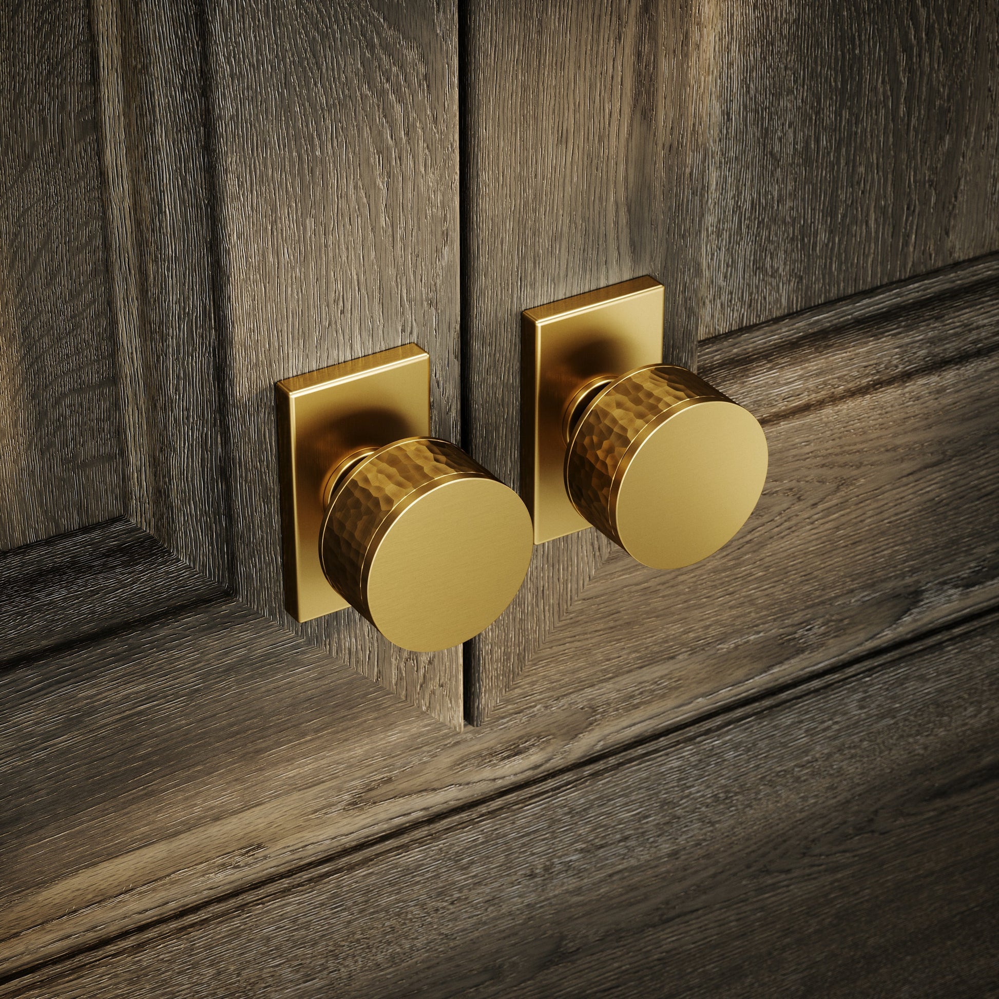 Chester Plate Brushed Gold Hammered Cabinet Door Knob