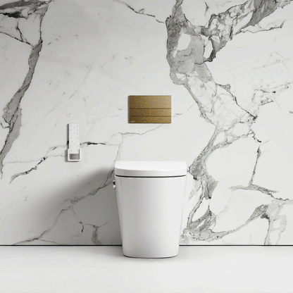 Intellismart Back To Wall Rimless Bidet Toilet with Concealed Cistern and Square Flush Plate
