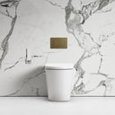 Intellismart Back To Wall Rimless Bidet Toilet with Concealed Cistern and Aged Bronze Flush Plate