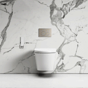 Intellismart Wall Hung Rimless Bidet Toilet with Concealed Cistern Frame and Round Flush Plate