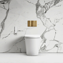 Intellismart Back To Wall Rimless Bidet Toilet with Concealed Cistern and Rectangle Flush Plate