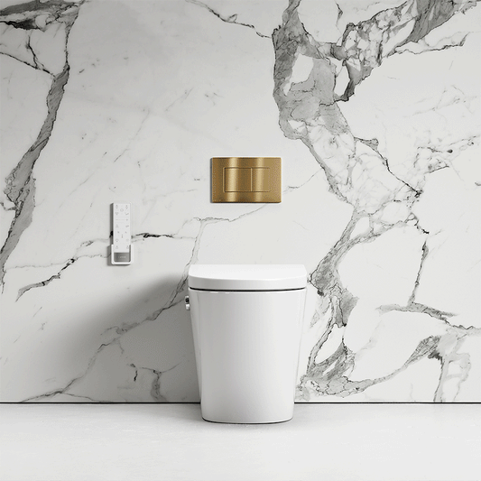 Intellismart Back To Wall Rimless Bidet Toilet with Concealed Cistern and Rectangle Flush Plate
