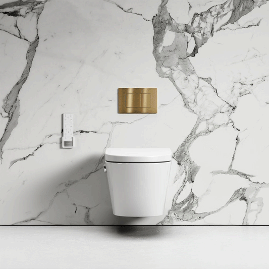 Intellismart Wall Hung Rimless Bidet Toilet with Concealed Cistern and Rectangle Flush Plate