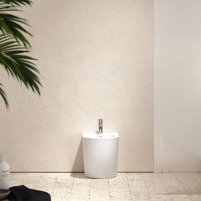 Senza Back to Wall Bidet