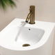 Luxe Aged Bronze Bidet Tap