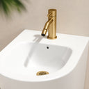Luxe Brushed Gold Bidet Tap