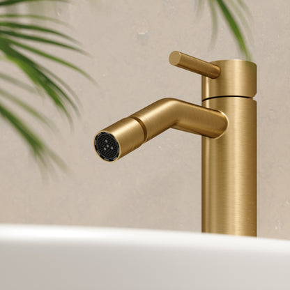 Luxe Brushed Gold Bidet Tap
