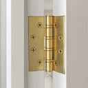 Architect Brushed Gold Hinges