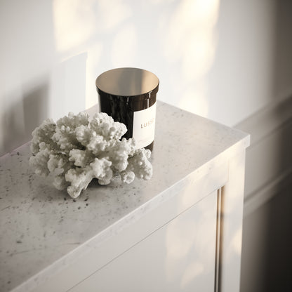 Berkeley Traditional Back to Wall Rimless Toilet with Concealed Cistern, Matte Stone Claridge Housing and Brushed Stainless Flush Plate