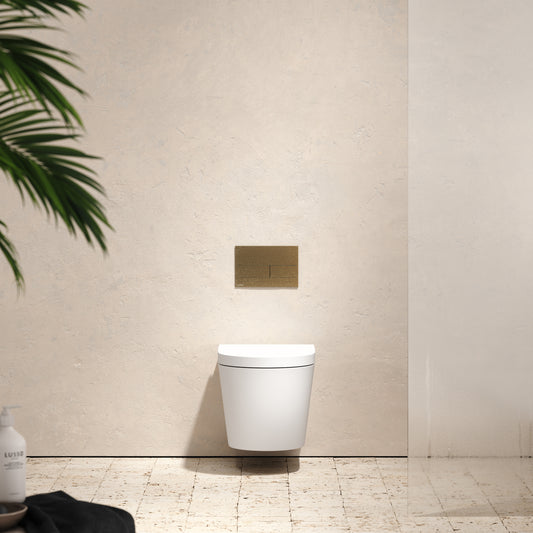 Senza Wall Hung Rimless Toilet with Concealed Cistern Frame and Square Flush Plate