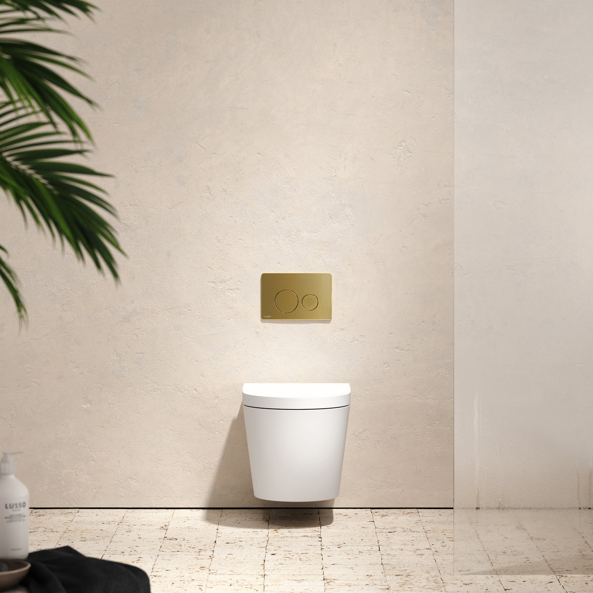 Senza Wall Hung Rimless Toilet with Concealed Cistern Frame and Round Flush Plate