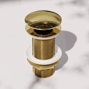 Luxe Polished Brass Unslotted Click Clack Basin Waste