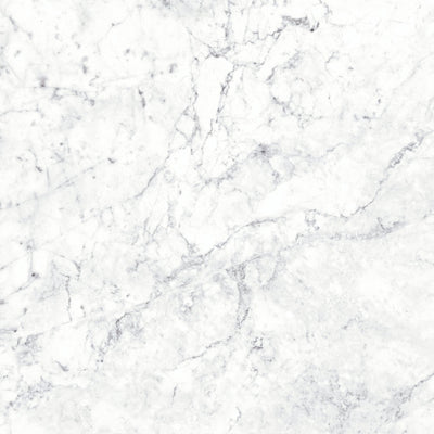 Massa Bianco Carrara Marble Porcelain Tile Sample