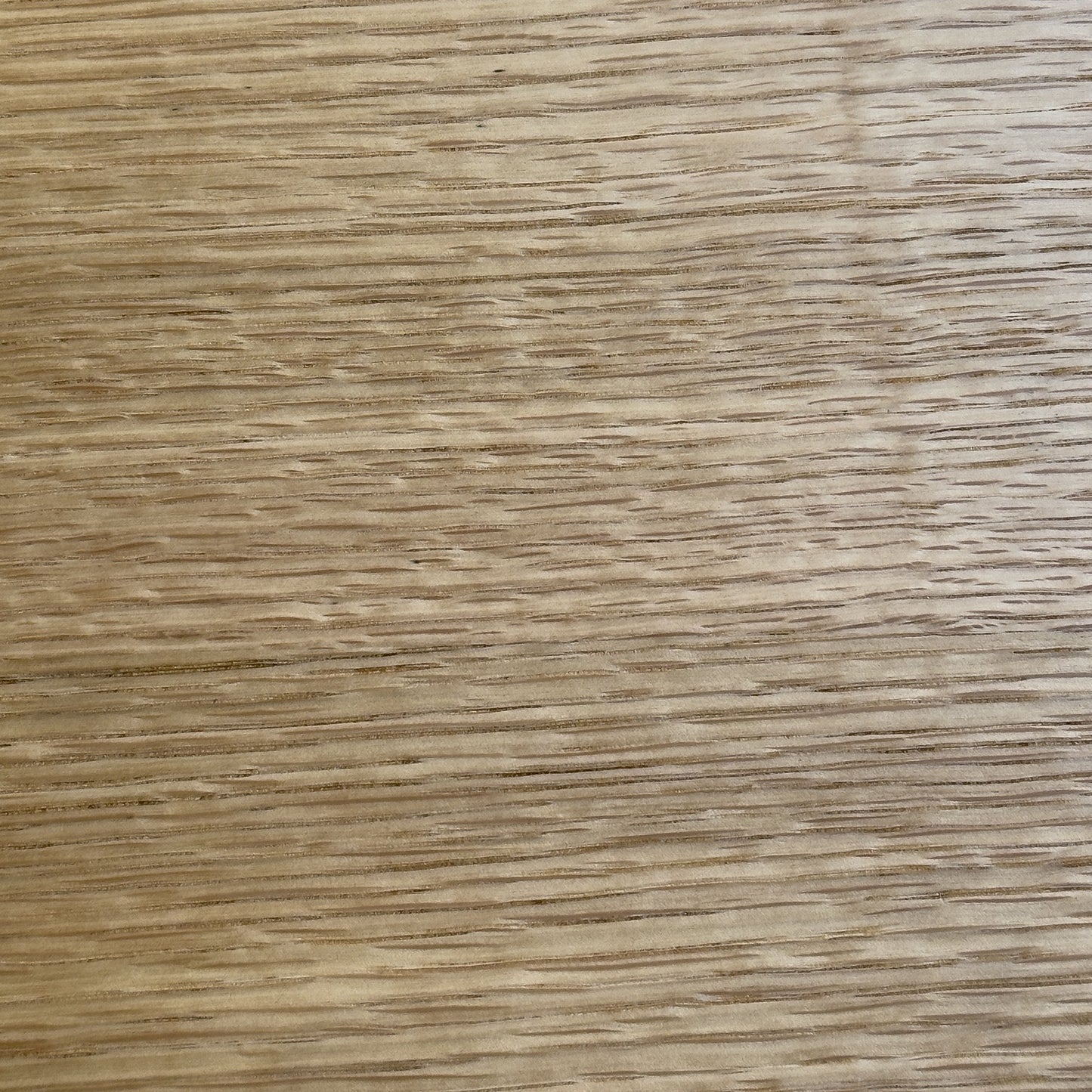 Natural Oak Wood Sample