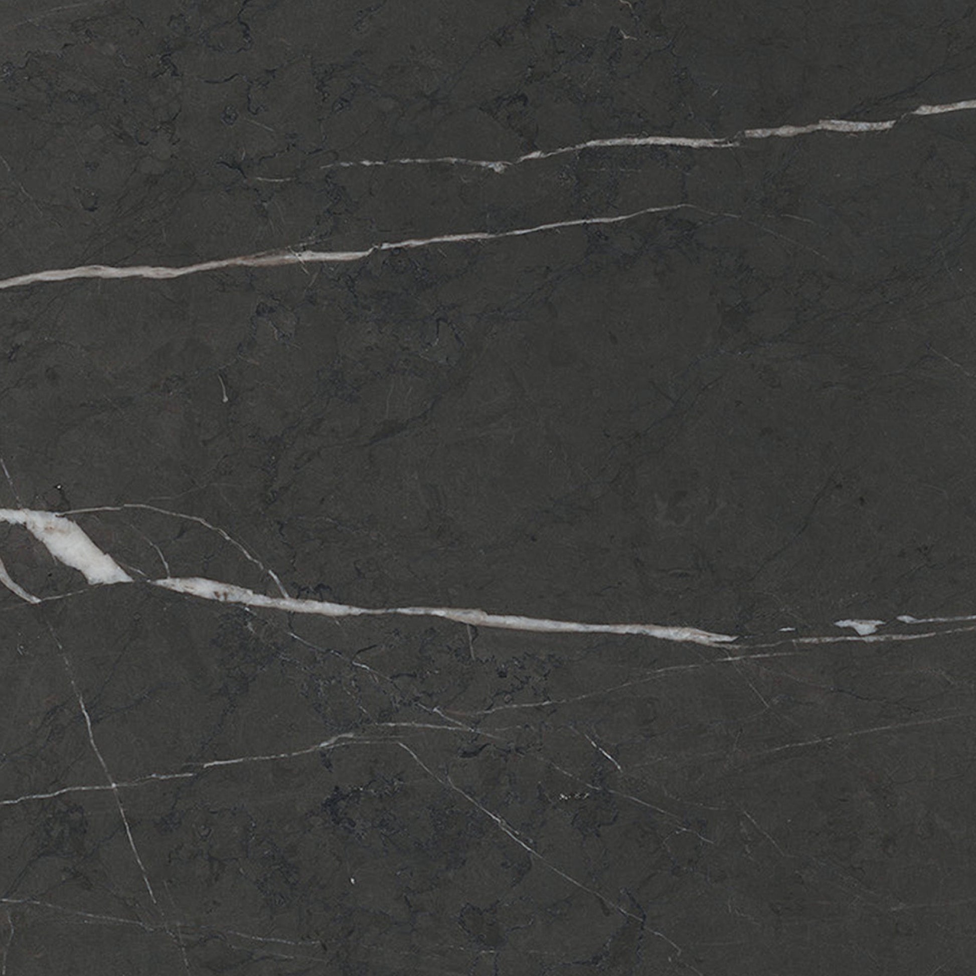 Pietra Grey Marble Sample