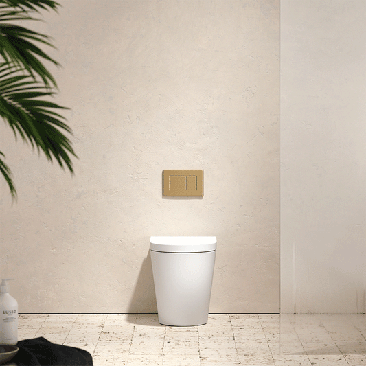 Senza Back To Wall Rimless Toilet with Concealed Cistern and Rectangle Flush Plate