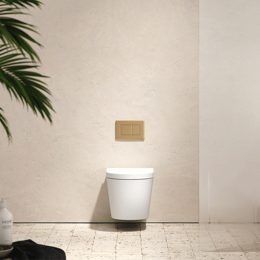 Senza Wall Hung Rimless Toilet with Concealed Cistern and Rectangle Flush Plate