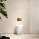 Senza Back To Wall Rimless Toilet with Concealed Cistern and Round Flush Plate