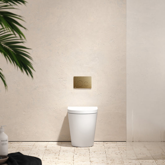 Senza Back To Wall Rimless Toilet with Concealed Cistern and Round Flush Plate