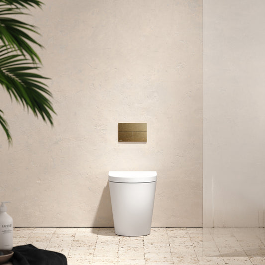 Senza Back To Wall Rimless Toilet with Concealed Cistern and Square Flush Plate