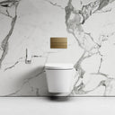 Intellismart Wall Hung Rimless Bidet Toilet With Concealed Cistern Frame And Square Flush Plate