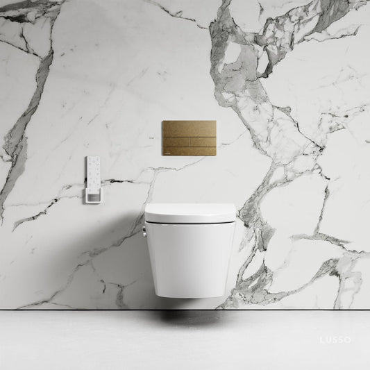 Intellismart Wall Hung Rimless Bidet Toilet With Concealed Cistern Frame And Square Flush Plate