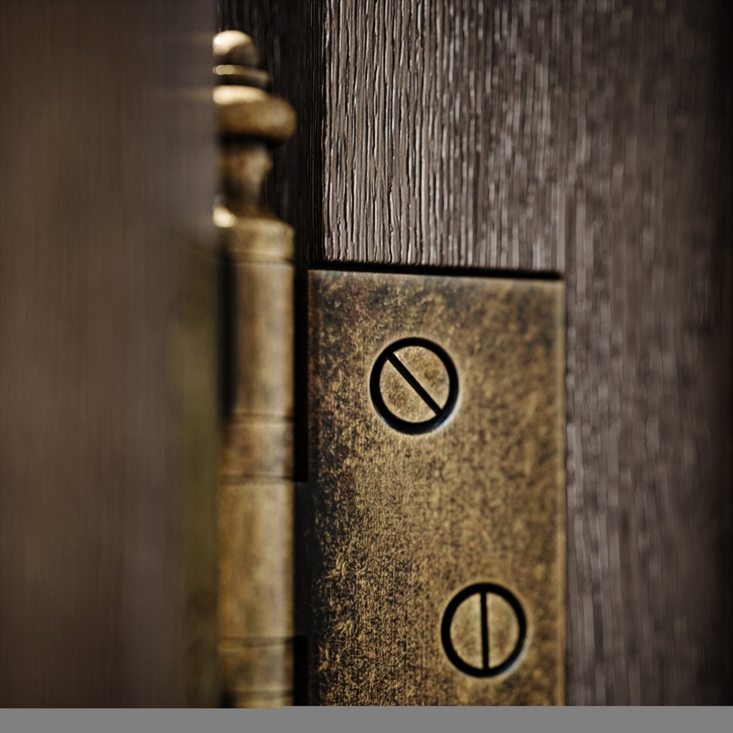 Aston Aged Bronze Hinges