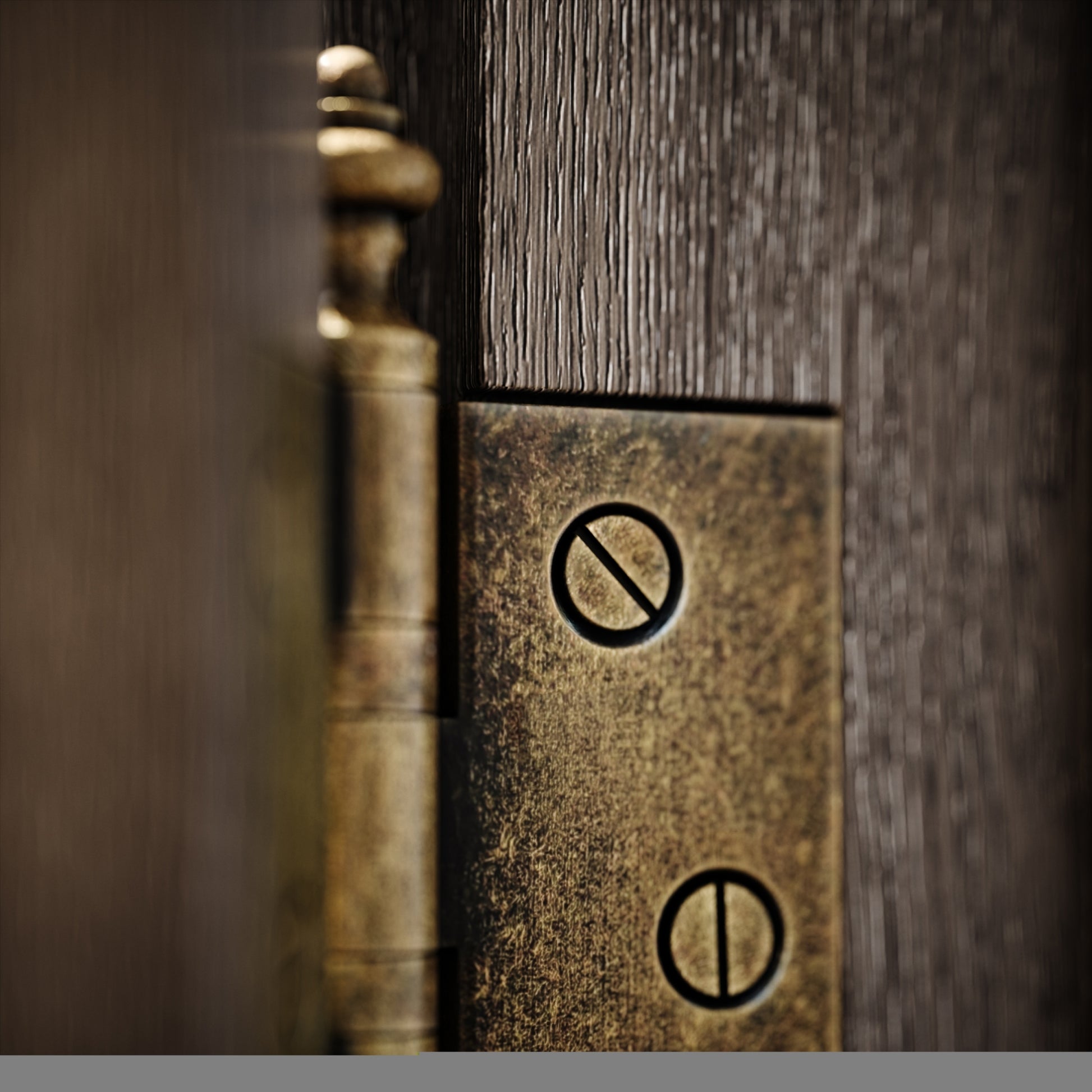 Aston Aged Bronze Hinges
