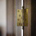 Aston Brushed Gold Hinges