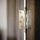 Aston Polished Nickel Hinges