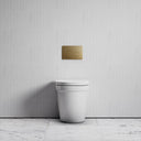Berkeley Traditional Back to Wall Rimless Toilet with Concealed Cistern and Round Flush Plate