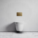 Berkeley Traditional Wall Hung Rimless Toilet with Concealed Cistern Frame and Square Flush Plate